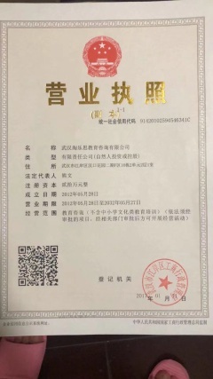 武漢淘樂思教育咨詢公司 深耕教育咨詢，賦能學(xué)習(xí)未來
